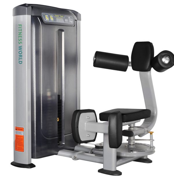 Sociale wetenschappen Irrigatie Hou op Purchase Commercial Seated Twist Machine online at affordable price